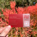 Frosted Plastic Cards Business