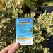 Plastic Itinerary Cards